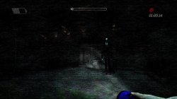 Slender: The Arrival Slender: The Arrival