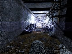 S.T.A.L.K.E.R. Тень Чернобыля - Упавшая звезда. Честь наёмника