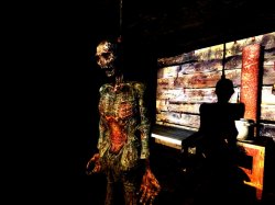 S.T.A.L.K.E.R. Тень Чернобыля - Упавшая звезда. Честь наёмника