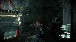 Crysis 2: Maximum Edition