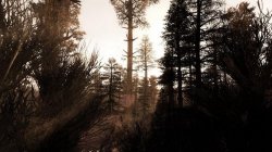 скачать S.T.A.L.K.E.R.: Call of Pripyat MISERY 2.1 бесплатно на ПК с android-pc-games.ru