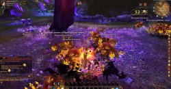Игра Reborn Online для компьютера бесплатно скачать с android-pc-games.ru