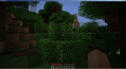 Minecraft 1.8.7