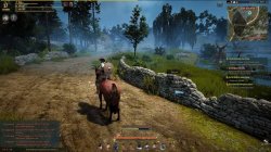 Black Desert