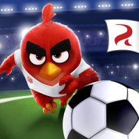   Angry Birds Goal! -    