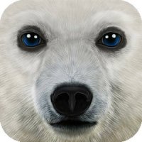  Ultimate Arctic Simulator  Android