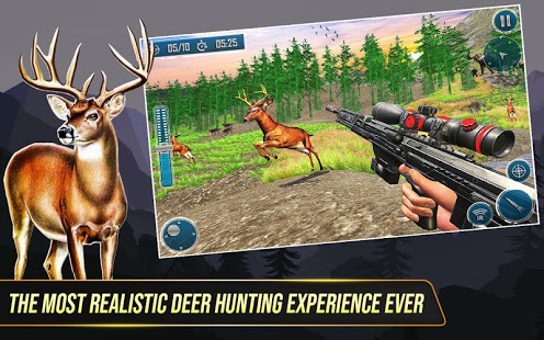   Wild Deer Hunting Adventure :Animal Shooting Games  