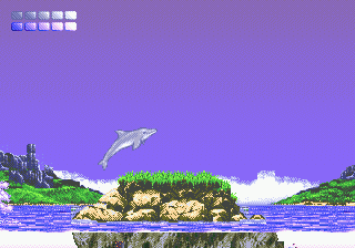 Online  ECCO The Dolphin  