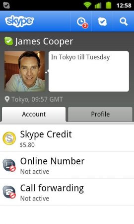  Skype  