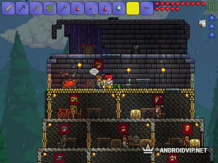    Terraria  Android