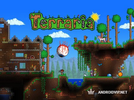    Terraria  Android