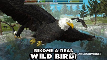  Ultimate Bird Simulator   