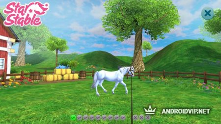    Star Stable Horses  Android