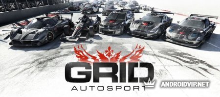  GRID Autosport  