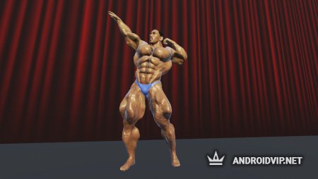  Iron Muscle - Be the champion   .apk
