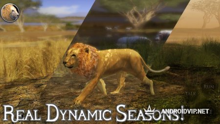    Ultimate Lion Simulator 2  Android