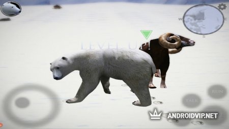 Online  Polar Bear Simulator 2  