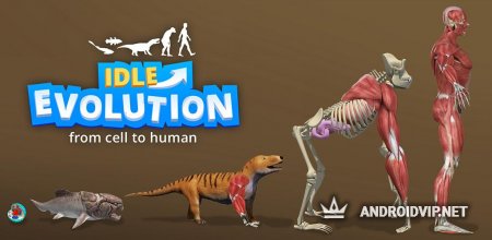   Idle Evolution - from Cell to Human  
