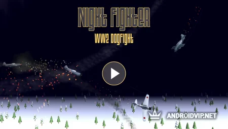 Online  Night Fighter: WW2 Dogfight  