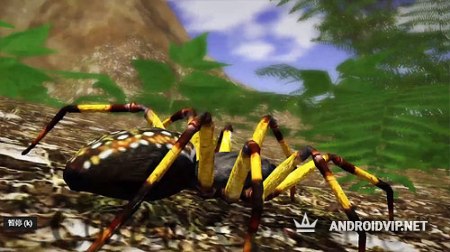 Online  Ultimate Spider Simulator 2  